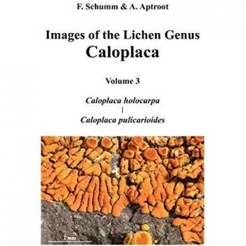 Imágenes del Género de Liquenes Caloplaca, Volumen 3: Caloplaca holocarpa y Caloplaca pulicarioides (Tapa dura)