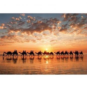 Educa Borrás - Puzzle 1000 Piezas Atardecer Dorado en Cable Beach, Australia