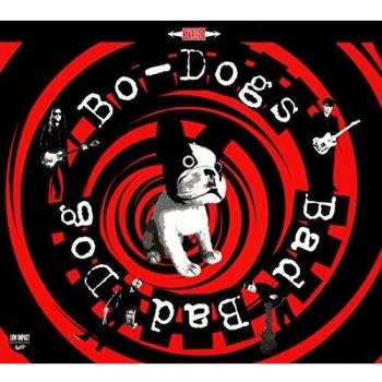 Bad Bad Dog!