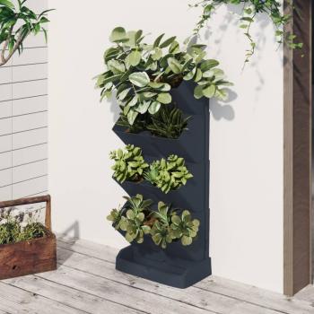 Juego de plantas de jardín Vertical 4 piezas polipropileno Antracita