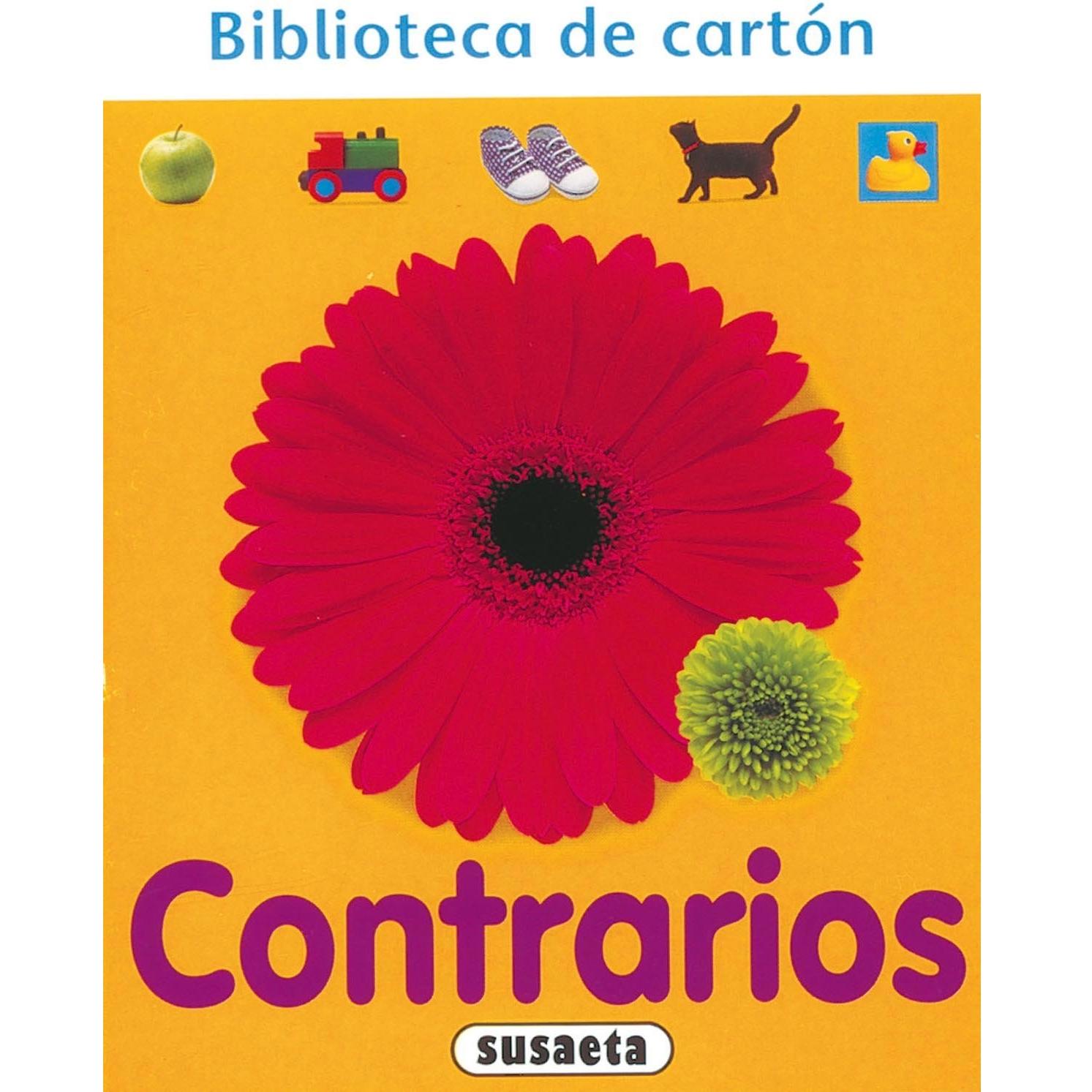 Imagen Principal