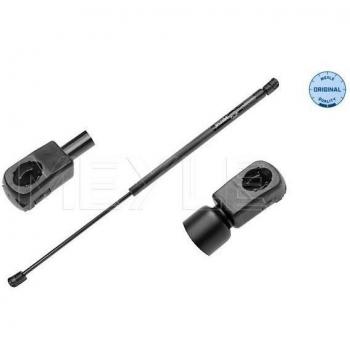 Amortiguador de maletero MEYLE gas spring 640 910 0008
