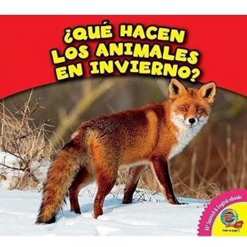 Que Hacen Los Animales En Invierno?
