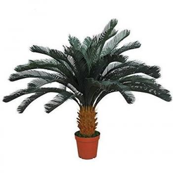 Catral 53010132 CICA, 28.0x26.0x135.0 cm