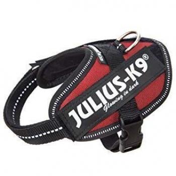 JULIUS-K9 16IDC Power Harness