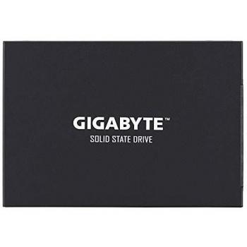 Gigabyte GP-GSTFS30256GTTD - Disco Duro sólido Interno de 256 GB, Color Negro