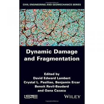 Dynamic Damage and Fragmentation