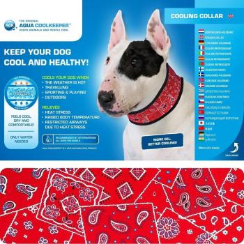 Collar Refrigerante para Perros M - Rojo Dibujos