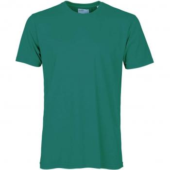 Colorful Standard Classic Organic Cotton T-Shirt in Pine Green