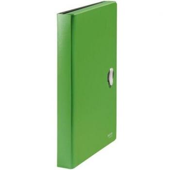 Carpeta Leitz Recycle Clasificador Fuelle Polipropileno 5+1 Compartimentos DIN A4 Verde