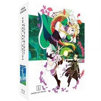 Sword Art Online - Saison 1, Arc 2