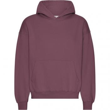 Oversized Organic Hoodie in Dusty Plum by Colorful Standard