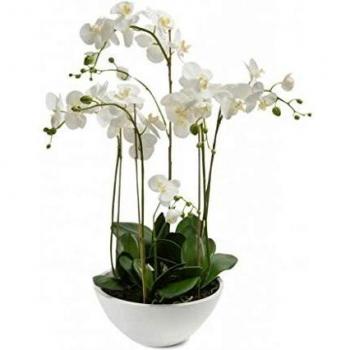 Emerald Orquídea Artificial Blanca 80 cm Planta Flor Maceta Maceta Decoración