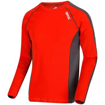 Regatta Beru - Capa Base de Lana de Merino para Hombre, Supersuave, Control de olores, Manga Larga, Capa Base Superior, Hombre, Capa de Base, RMU027 91990, Imán de salmón Quemado, XXL