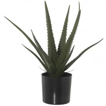 Planta Decorativa Aloe Vera Plástico 11 x 11 x 39 cm Alexandra House Living