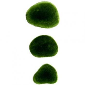 Fluval decor 3x pequenas musgo piedra acuario decoracion