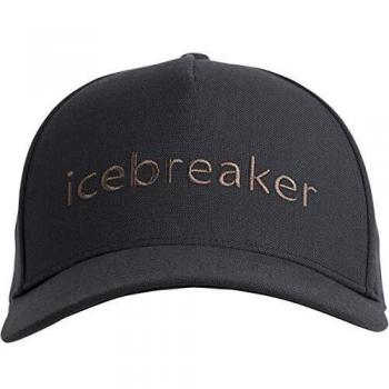 Gorra modelo Unisex Icebreaker Logo Hat marca icebreaker