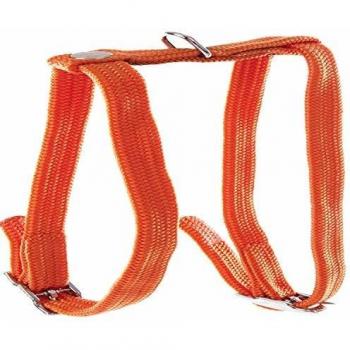 Arnés de nylon para gato con collar y correa Martin Sellier Tub