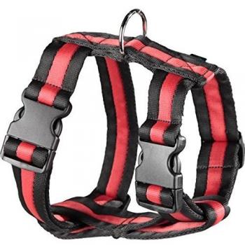 Arppe 198204050100 Arnés Nylon Acolchado MacQueen, Negro y Rojo