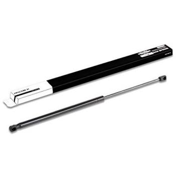 Amortiguador de maletero RIDEX 219G0157 para BMW y FORD, compatible con X1 (E84) y Focus C-Max (DM2), hidráulico, ambos lados