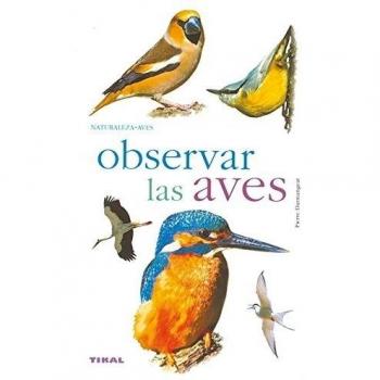 Observar Las Aves