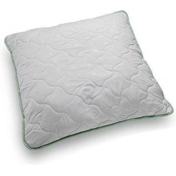 Frankenstolz f.a.n. almohada Aloe Vera 80 x 80 cm | vitalisierendes & atractiva Tumbona para cojín, lavable a 60 °
