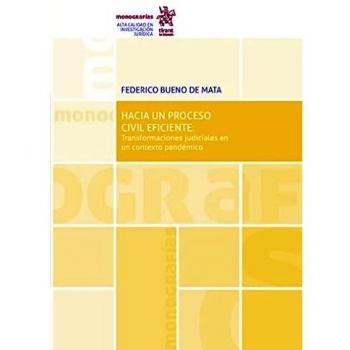 Hacia un proceso civil eficiente: Transformaciones judiciales en un contexto pandémico