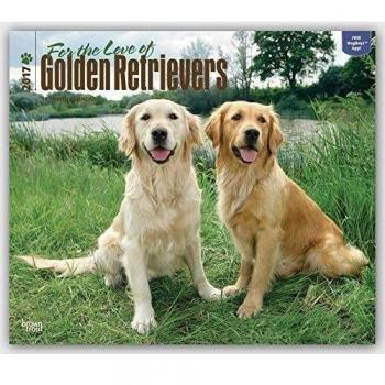 Golden Retriever - For the Love of 2017 - 18-Monatskalender mit freier DogDays-App: Original BrownTrout-Kalender - Deluxe