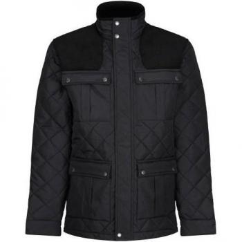 Chaqueta Padbury Acolchado para Hombre Regatta