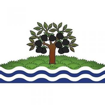 DIPLOMAT-FLAGS Worcestershire Bandera | Bandera Paisaje | 0.06m² | 20x30cm Banderas de Coche