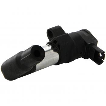 Bobina de encendido BorgWarner (BERU) ZS384