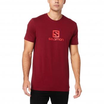 Salomon Coton Logo SS tee T-Shirt, Hombre, Biking Red, XXL