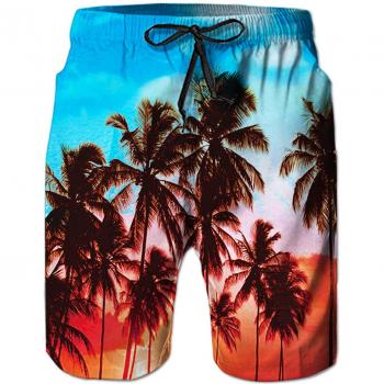 Goodstoworld Hombre Bañador Shorts 3D Playa Natacion Pantalon Corto Poliéster Secado Rápido Ligero Bermuda Moda Shorts