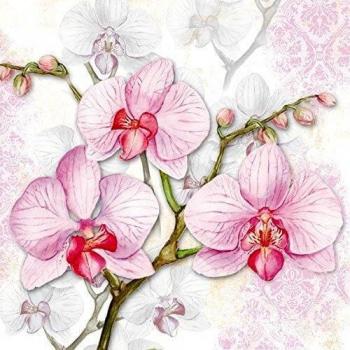 Ambiente servilletas almuerzos/Fiesta 33x 33cm orquídeas LILA