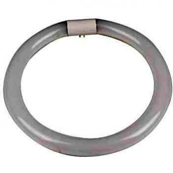 Fbright Led Tubo Led, Blanco