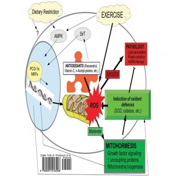 Implicaciones Médicas de la Investigación Básica en el Envejecimiento