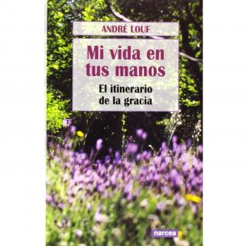 Mi Vida En tus Manos: El itinerario de la gracia: 228