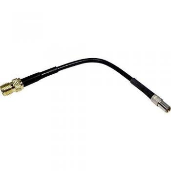 Adaptador de Antena Wittenberg TS9 Macho a SMA Hembra, 10 cm