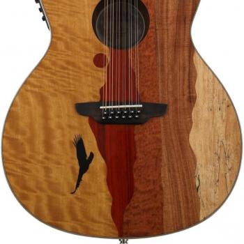 Luna Vista Eagle 12-String Acoustic-Electric Guitar with Case, Gloss Natural