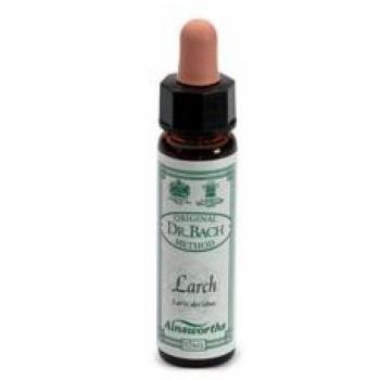 Ainsworths Bach Flower Remedy Larch 10ml