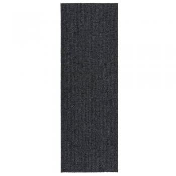 Alfombra Colectores del polvo 100x300 cm Antracita