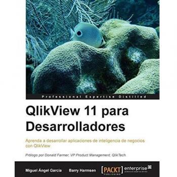 QlikView 11 for Developers: Comprehensive Guide and Training Manual