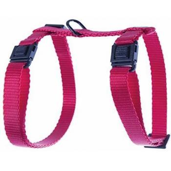 Harnés Clásico de Nylon para Gatos con Collar y Correa Martin Sellier