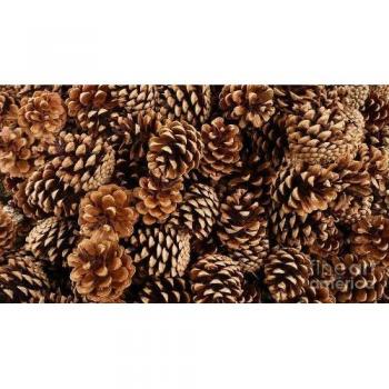 Piñas Naturales para Decoración Navideña - 1 kg