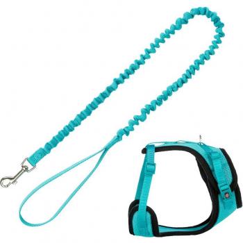 Conjunto Trixie Mesh: Arnés con correa elástica para gatos - Turquesa