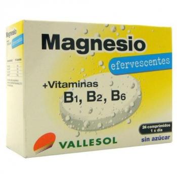 VALLESOL magnesio + vitaminas B1, B2, B6 caja 24 uds