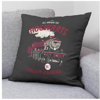 BL BELUM | Funda cojín Harry Potter de algodón 50x50cm modelo Aboard A