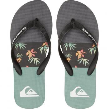 Chanclas Hombre Quiksilver Molokai Stripe