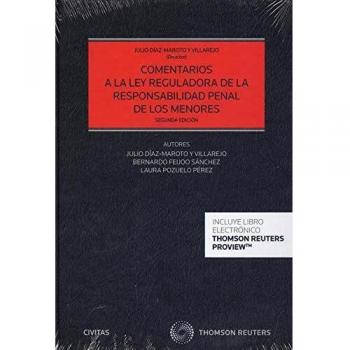 Comentarios a la Ley Reguladora de la Responsabilidad Penal de los menores