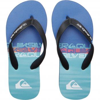 Quiksilver - Chanclas de niños Molokai Art Ii Azul
